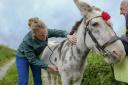 CHECK-UP: Vet Gemma Dransfield visiting the donkeys at Oliver’s Mount Stables in Scarborough Picture: Tony Bartholomew