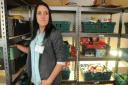 Laura Hagues, project manager, checks the stock at  the York Food Bank in Acomb