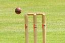 Cricket: Sheriff Hutton Bridge curb champions at annual end of season game