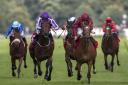 Bondi Beach (purple cap) and Simple Verse fight it out in the St Leger Photograph: Getty