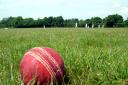 Pilmoor Evening Cricket League round-up