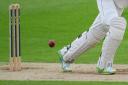 Foss Evening Cricket League: Latest report
