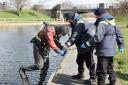 Police divers searching the canal near where the body of a man was found with serious injuries. Picture: Bill Hearld