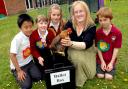 Ralph Butterfield Primary School head teacher Angela Mitchell holds one of the hens that pupils named in an election
