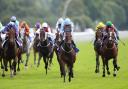 Copper Knight, here ridden to victory in the Juddmonte International by top-jockey contender David Allan (centre, blue), may or may not run for leading trainer Tim Easterby on Knavesmire this week. Picture: Nigel French/PA Wire