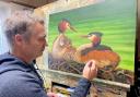 Robert E Fuller with a new painting of great crested grebes