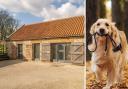 If you need a dog-friendly place to stay at for your next adventure in the North York Moors, this could be it