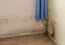 Mould in home Image: Newsquest