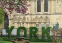 Spring in York - outside York Minster - by Lisa Young