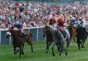 Lochsong, above left, leaves the field behind on her way to winning the Nunthorpe Stakes at York Racecourse in 1993