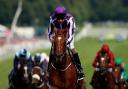 The racing crowd would surely be out in force if Australia, the Epsom Derby winner, was to contest the Juddmonte International Stakes at York at the Welcome To Yorkshire Ebor Festival