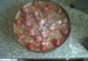 Tia Maria chocolate and raspberry torte