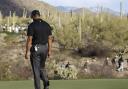 A disconsolate Tiger Woods walks off a course into the sunset