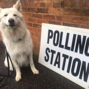 Flashback: Wolfie the dog at a York polling station during the 2017 General Election. If you are taking your dog with you when you vote in the mayoral election on Thursday, please send us a snap of them outside the polling station