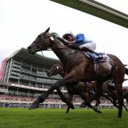 Sam Cooke ridden by Rob Hornby wins the Sky Bet Handicap during Coolmore Nunthorpe day of the Welcome to Yorkshire Ebor Festival 2021 at York racecourse. Picture: Nigel French/PA Wire