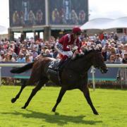 Mishriff, ridden by David Egan, winning the Juddmonte International Stakes on day one of the Welcome to Yorkshire Ebor Festival. Picture: Nigel French/PA Wire