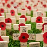 Messages written on planted tributes during the official opening of the 2021 Royal British Legion Field of Remembrance at the National Memorial Arboretum.