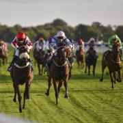 York Racecourse's October Finale sees crowd of almost 20,000 - action from York Races today