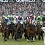 It's the cheapest time to book tickets to next year's Cheltenham Festival and here's you can book yourself an exclusive all-in-one deal. (Cheltenham Festival / Aaron Taylor)