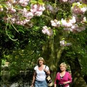 Candidates Ruth Potter, left, and Barbara Boyce enjoy a stroll on a path near the River Foss at Heworth