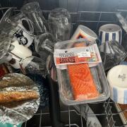 Dishwasher salmon is perhaps the most revolting thing to come from TikTok yet