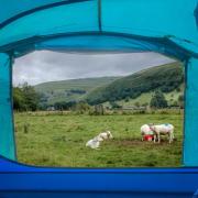 Have you camped at one of these award-winning sites across North Yorkshire?