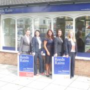 The Haxby Team