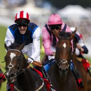 Moviesta triumphs at Goodwood to the delight of trainer Bryan Smart and QPR football manager Harry Redknapp