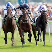 Declaration of War ridden by Joseph O’Brien, left centre, beats Al Kazeem ridden by James Doyle, far left, and Trading Leather ridden by Kevin Manning to win the Juddmonte International Stakes at York Racecourse last year