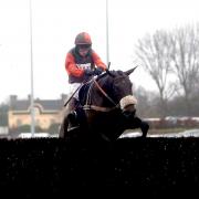 Long Run - A potential runner in the Charlie Hall Chase at Wetherby
