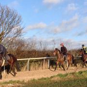 Trainer-in-waiting  Mark Walford’s horses on the gallops near the family’s Sheriff Hutton yard