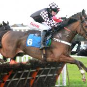 John Quinn’s Rutherglen is heading to Cheltenham as part of  a charge from the Highfield stables.  Picture: Alec Russell