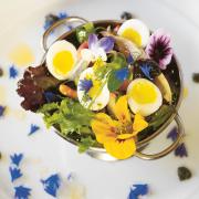 Salad of Whitby Lobster Niçoise-style with Quail Eggs, Marinaded Anchovies and Garden Beans