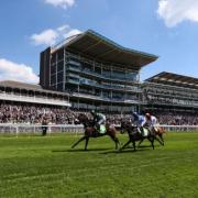 ONE, TWO, THREE?: Clever Cookie wins at York during May’s Dante Festival. The horse is bidding for a hat-trick of Knavesmire victories in the John Smith’s Cup