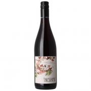 Incanta Pinot Noir, available from Majestic