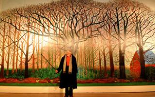 Artist David Hockney stands in front of his most recent work, Bigger Trees Near Warter, on display at York Art Gallery  Picture: Anthony Chappell Ross