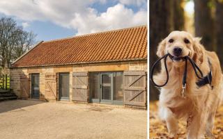 If you need a dog-friendly place to stay at for your next adventure in the North York Moors, this could be it