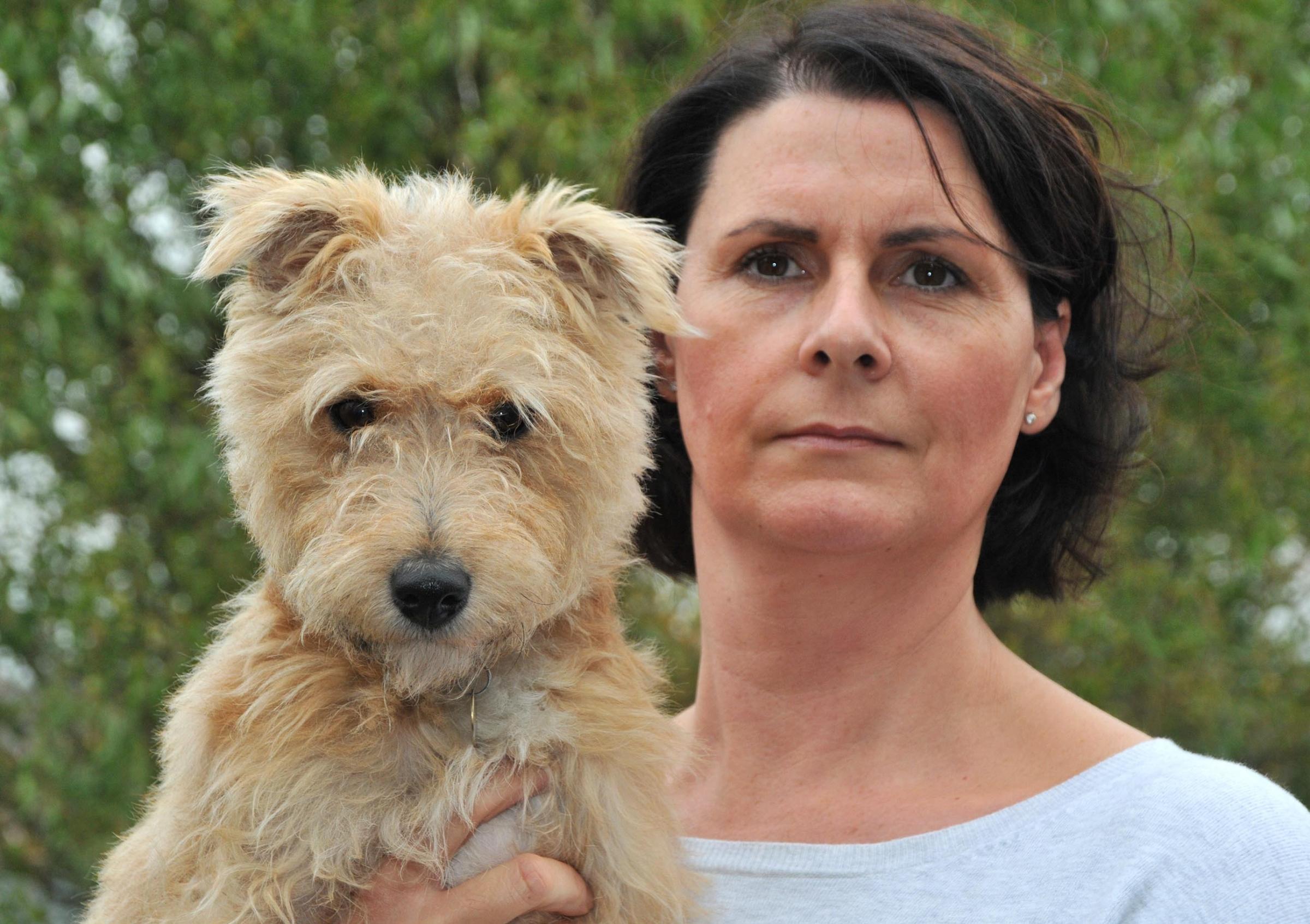 Pictured is Carolyn Rennie with her dog Jess which was savaged by a dog matching the description of one involved in a previous attack on another dog. - 4408181