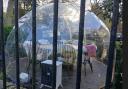 One of the garden pods in the hotel grounds recently