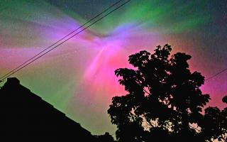 Press camera club member Annie Greenhouse got this shot of the Nothern Lights from her garden in Heworth last night