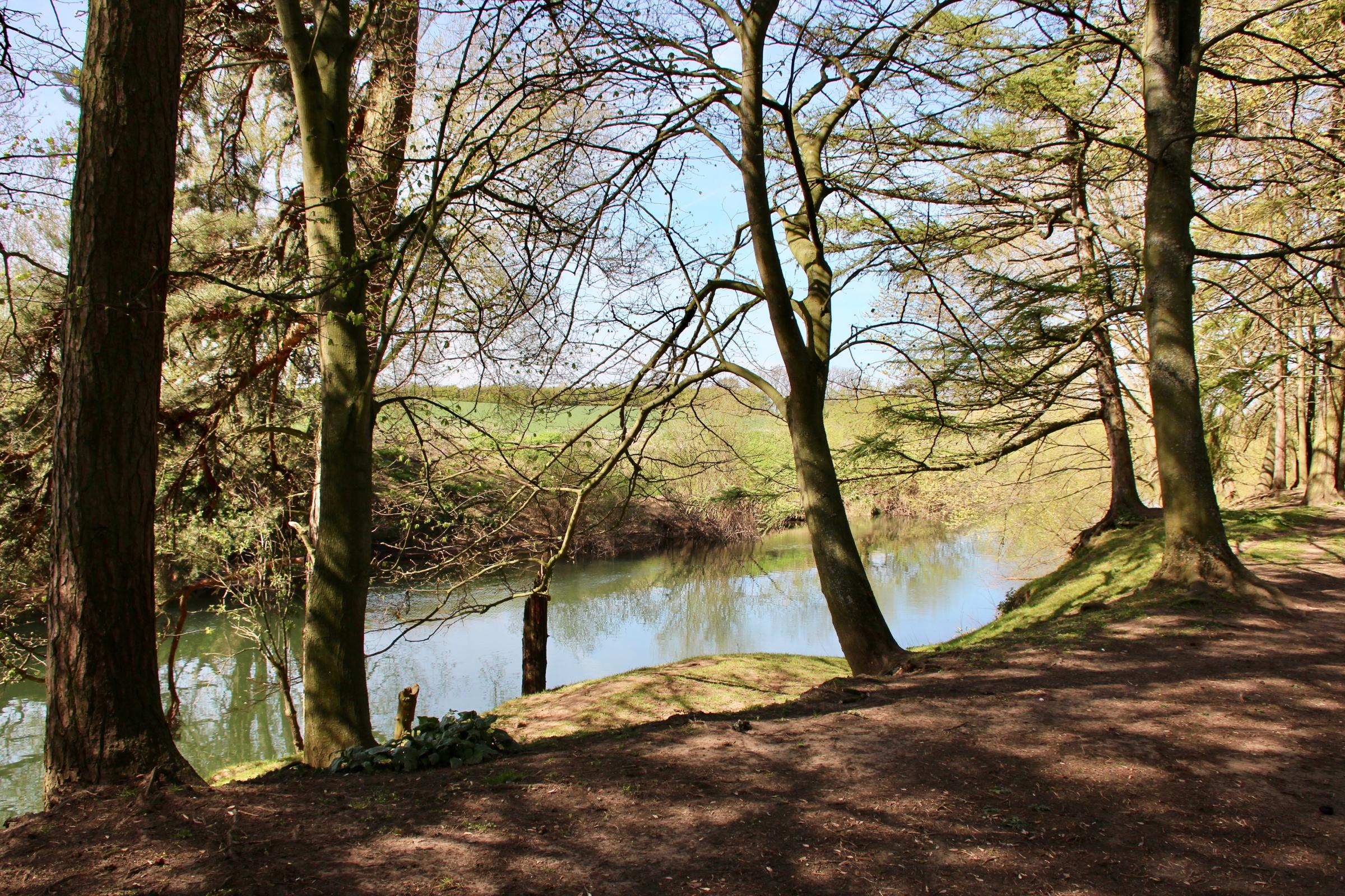 A perfect spot for a picnic at Catton. Picture: Bob Adams
