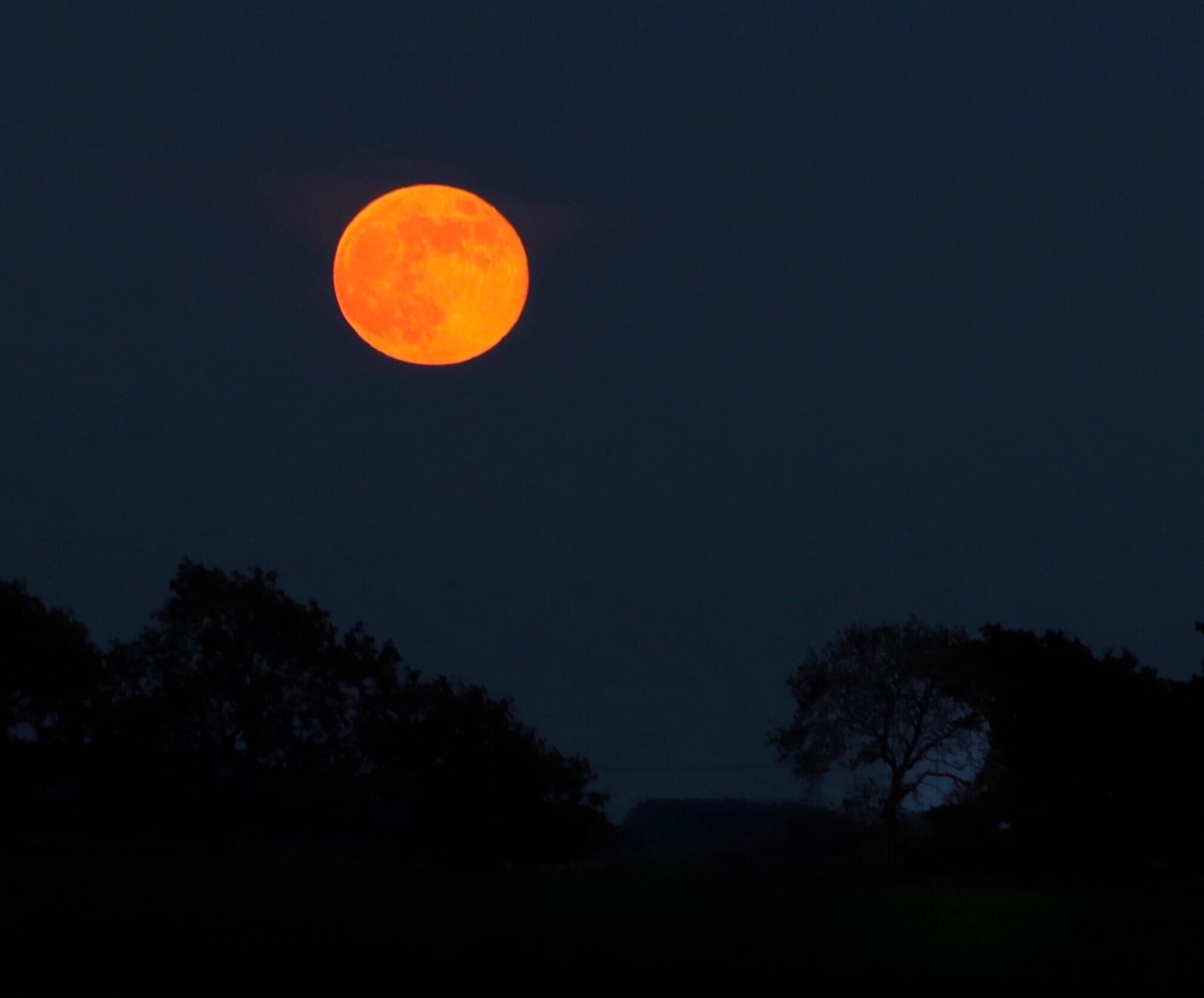 Lana Huntleys photo of the flower moon last year on May 8
