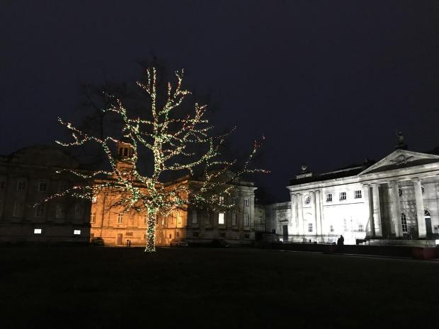York Press: The Magical Tree of Light last Christmas