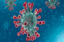 Coronavirus – image from Public Health Wales website