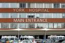 York Hospital could reach capacity if admissions continue at the recent rate