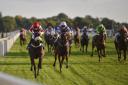 York Racecourse's October Finale sees crowd of almost 20,000 - action from York Races today