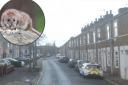 Garfield Terrace, where complaints have been made about rat activity, says City of York Council  Main picture: Google Street View