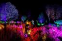 The RHS Garden Harlow Carr, in Harrogate, are to be lit up this winter