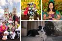The cast of Jack and the Beanstalk, with Zeus the border collie