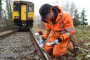 Researchers collecting leaf samples from the railway. Picture: SWNS